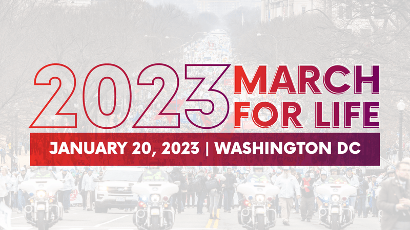 Friday, January 20, 2023